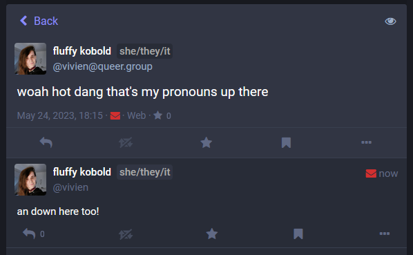 A Mastodon screenshot showing off pronouns next to a person's name